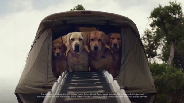 Furry Friends Help Subaru Secure Most Likable TV Ads in Q3