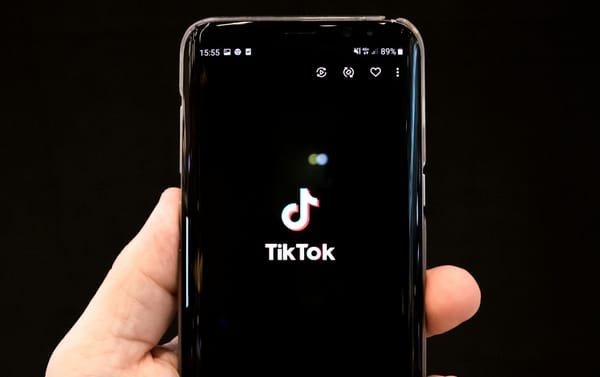 Which TikTok Video Categories Are Seeing Major Audience Growth?